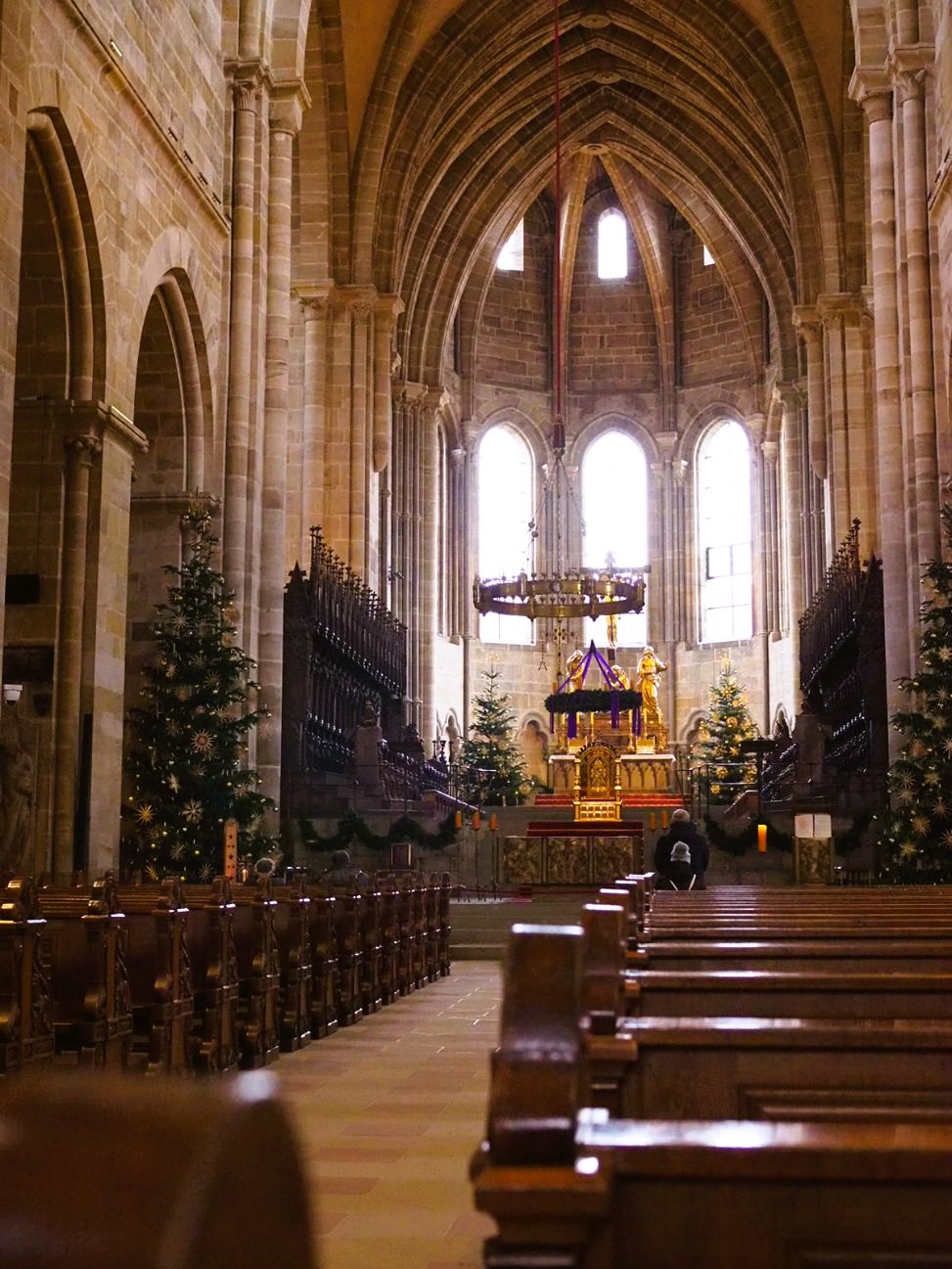 The interior of a cathedral is shown decorated for Christmas with decorations and multiple Christmas trees, light glistens off the pews, a lone visitor stands at the front of the church before the arched windows.
