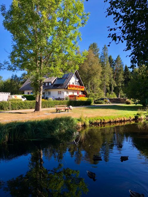 A white walled house with a grey roof and flowerboxes filled with red flowers stands in front of a blue pond with ducks gliding along the surface. The sky above is an azure blue and large green trees stand next to the house.