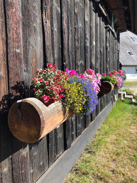 Hollowed out logs form impromptu flower boxes, attached to a wooden wall. Flowers in shades of pink, purple and yellow spill out of them, mirroring the green grass below.
