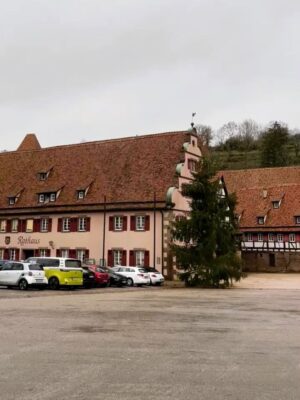 A large pink building with curved accents and a red tiled roof stands against a wintry sky with multiple cars parked before it and a large pine tree at one end for Christmas time, a half timbered building stands behind the pink Rathaus and terraced hills beyond that.