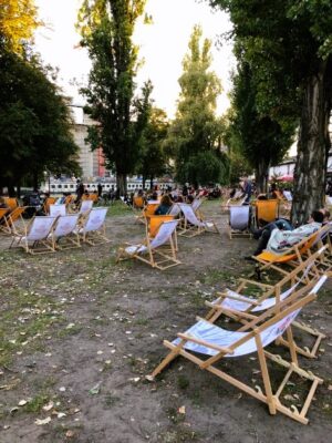 Rows of wooden folding chairs are lined up in an impromptu setting for a beer garden, the grass is patchy and fallen leaves are strewn on the ground, trees stud the garden. Some chairs have light coloured fabrics and others are a deep yellow.