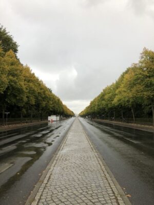 A long, straight city road stretches far into the distance, lined on both sides by lush, green trees beneath a cloudy sky, the dark road is wet from recent rain and there is a traffic cone before a low, white structure to the left.